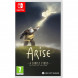 Игра Arise: A Simple Story. Definitive Edition [Nintendo Switch, русские субтитры] в Новокузнецке