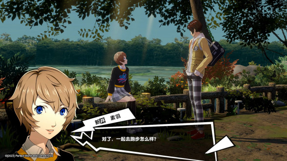Persona 5 Royal [Nintendo Switch, английская версия] в Новокузнецке