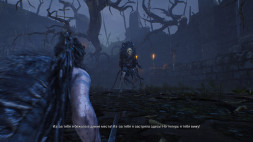 Игра Hellblade: Senua’s Sacrifice [PS4, русские субтитры]