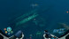 Игра Subnautica: Below Zero [PS5, русские субтитры] в Новокузнецке