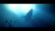 Игра Under The Waves [PS4, русские субтитры] в Новокузнецке