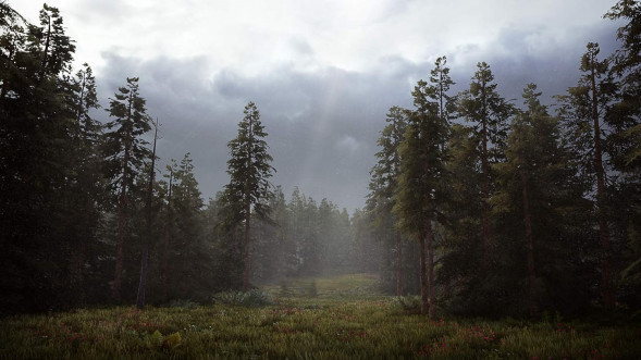 Игра Hunting Simulator 2 [PS5, английская версия] в Новокузнецке