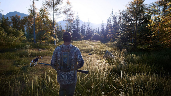 Игра Hunting Simulator 2 [PS5, английская версия] в Новокузнецке